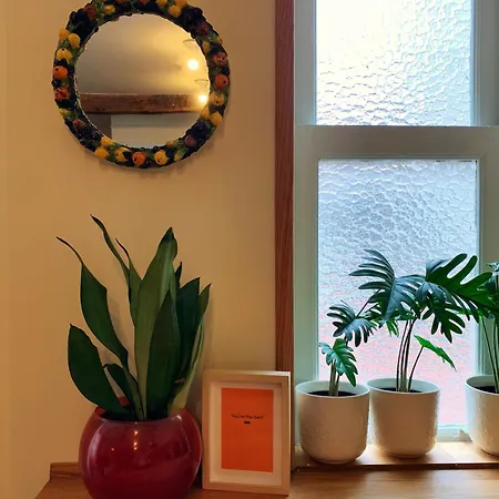 Appartement Kai Etxea El Mismo Puerto De Bermeo Extérieur photo
